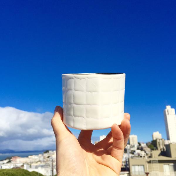 White Grid Planter with Black Center