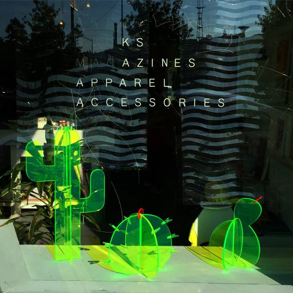 Medium Fluorescent Cactus Set
