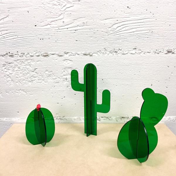 Small Green Cactus Set